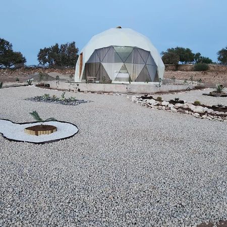 Tassourt Lodge Suvayr Dış mekan fotoğraf